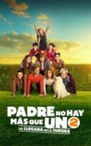 Sadece Bir Baba Var 2 Kayınvalidenin Gelişi Full HD İzle