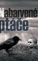 Boyalı Kuş Full HD İzle