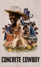 Kent Kovboyu HD İzle