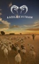 Aadujeevitham Keçilerle Yaşam Full HD İzle