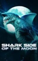 Ayın Köpekbalığı Yüzü HD İzle