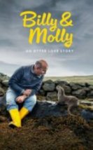 Billy ve Molly Bambaşka Bir Sevginin Hikayesi HD İzle