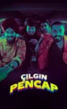 Çılgın Pencap HD İzle