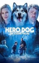 Hero Dog The Journey Home HD İzle