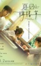 Kalbindeki Sır Full HD İzle