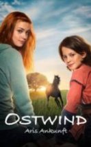 Kasırga 4 Arinin Gelişi Full HD İzle