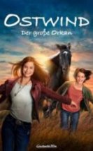 Kasırga 5 Büyük Kasırga HD İzle