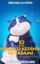 Meraklı Kedinin 10 Yaşamı Full HD İzle
