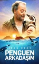 Penguen Arkadaşım HD İzle