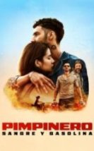 Pimpinero Kan ve Petrol HD İzle