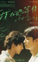 Yitik Balinalar Koyu Full HD İzle