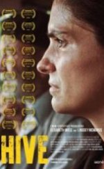 Kovan Full HD İzle