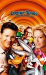 Looney Tunes Maceraya Devam Full HD İzle