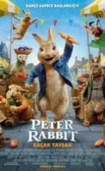 Peter Rabbit Kaçak Tavşan İzle