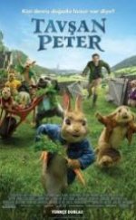 Tavşan Peter Full İzle
