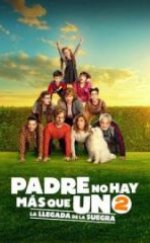 Sadece Bir Baba Var 2 Kayınvalidenin Gelişi Full HD İzle