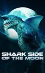Ayın Köpekbalığı Yüzü HD İzle