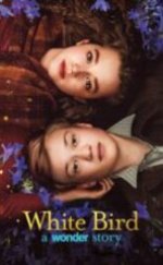 Beyaz Kuş Full HD İzle