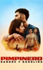 Pimpinero Kan ve Petrol HD İzle