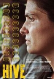 Kovan Full HD İzle