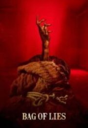 Bag of Lies HD İzle