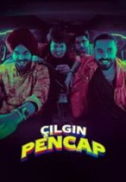 Çılgın Pencap HD İzle
