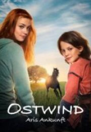 Kasırga 4 Arinin Gelişi Full HD İzle