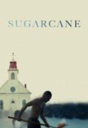 Sugarcane İzle