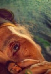 Yalanların Anası HD İzle