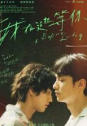 Yitik Balinalar Koyu Full HD İzle