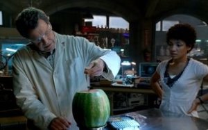 Fringe 2. Sezon 3. Bölüm